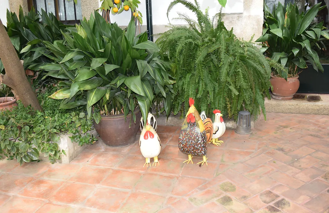 Casa Rural Antolina-1