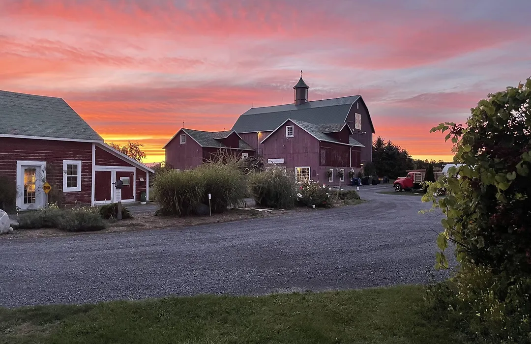 The Eddie Hotel And Farm-1