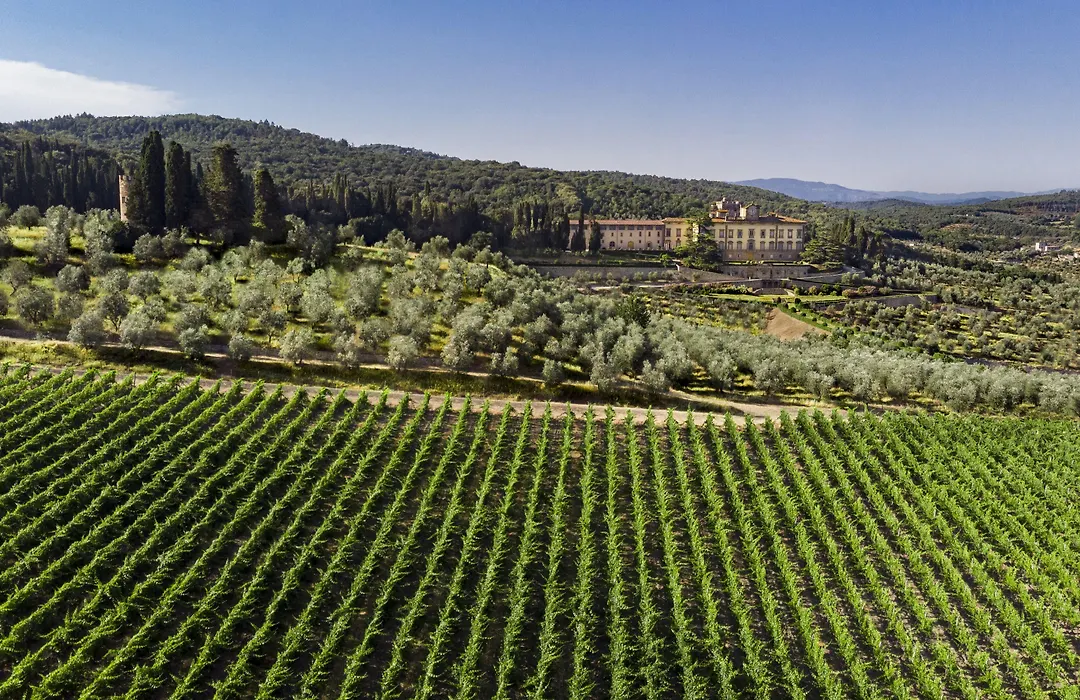 Torre A Cona Wine Estate-1