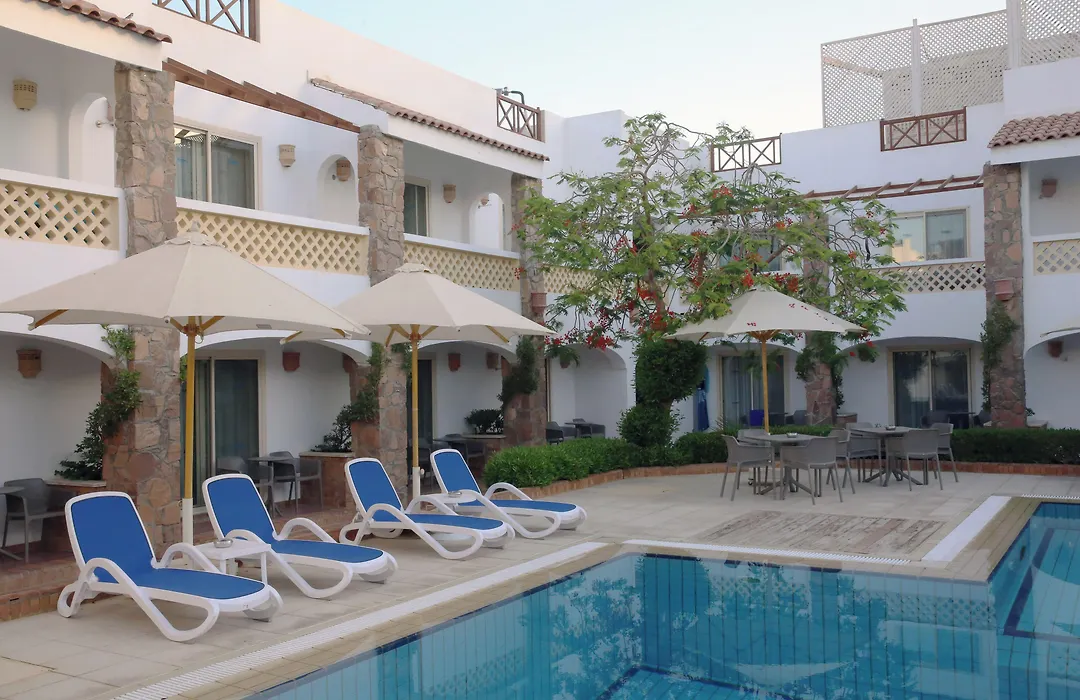 Camel Dive Club & Boutique Hotel-1