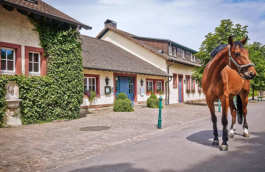 Der Linslerhof - Hotel, Restaurant, Events&Natur-1
