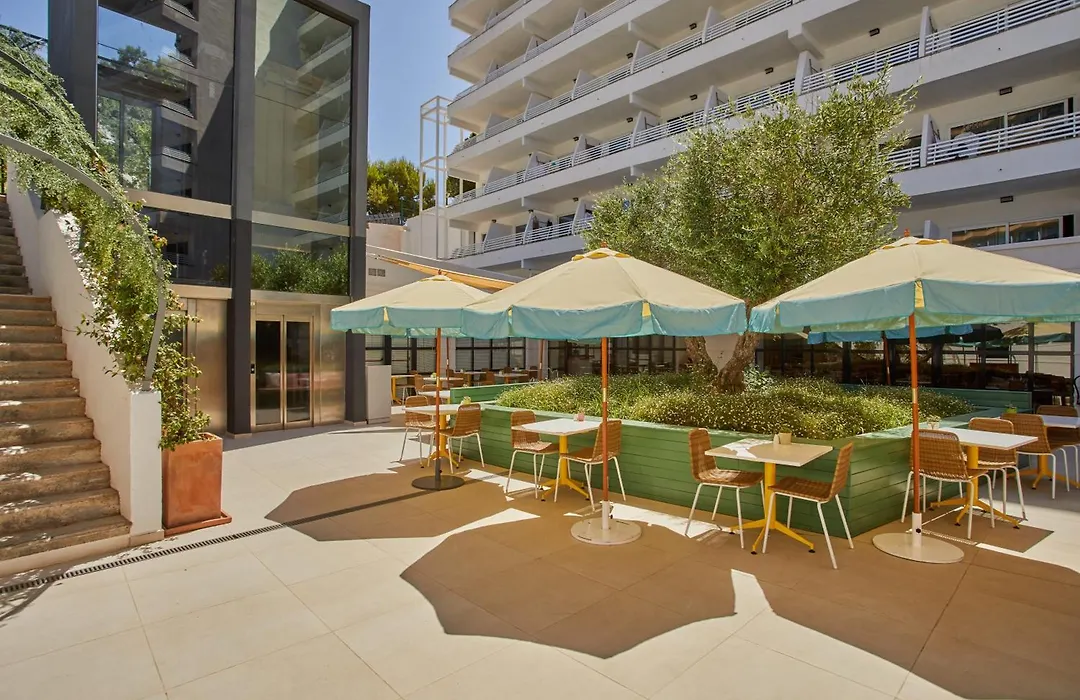 Alua Calvia - Hyatt Inclusive Collection (Adults Only)-1