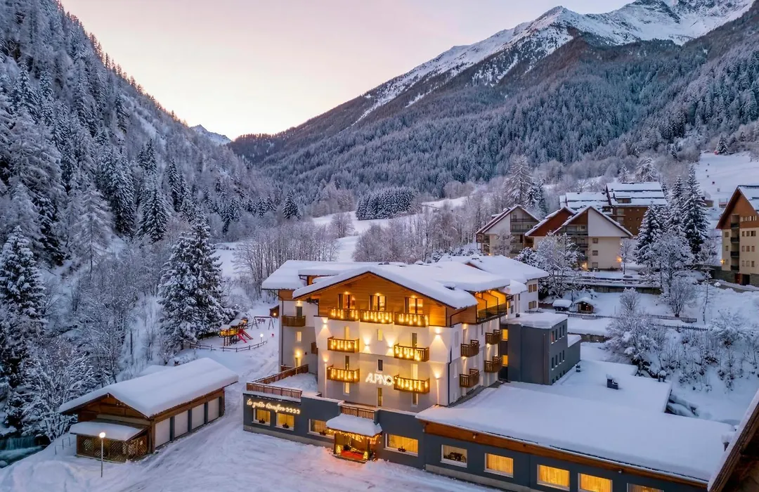 Hotel Alpino Wellness&Spa-1