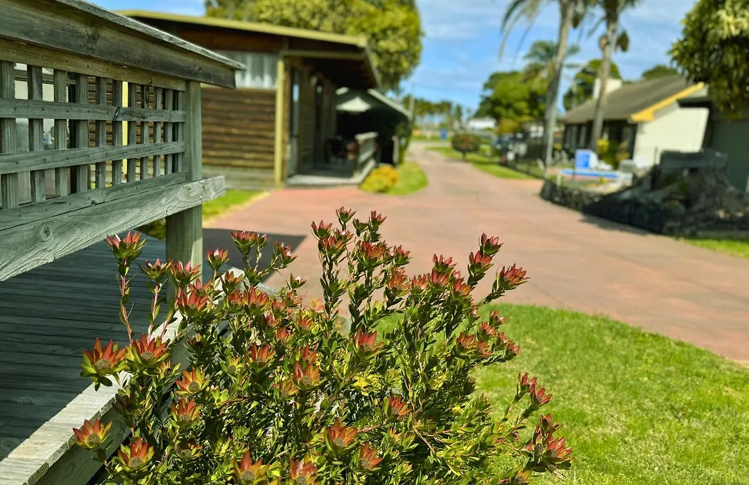 Lazy Acre Log Cabins-1