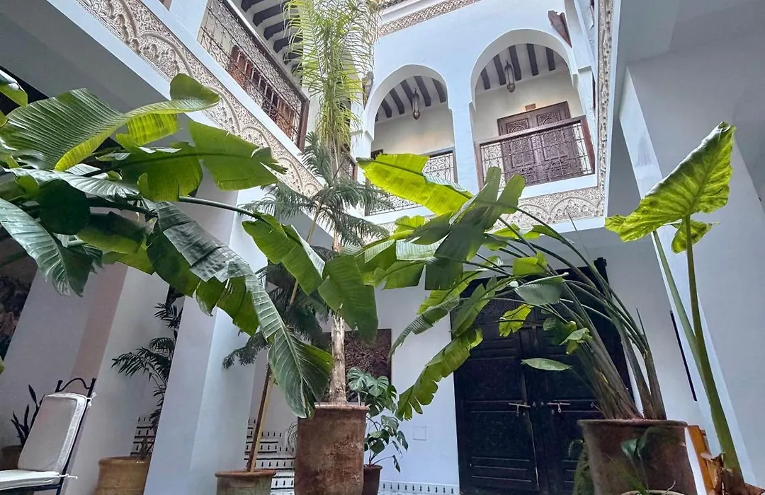 Riad Aguaviva-1