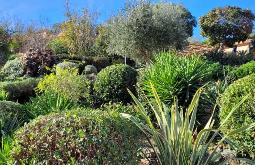 Villa Mimosa-1