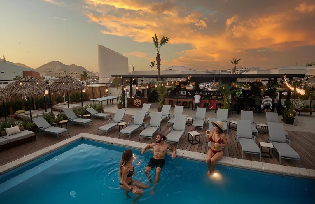 Mayan Monkey Los Cabos - Social Hostel (Adults Only)-1