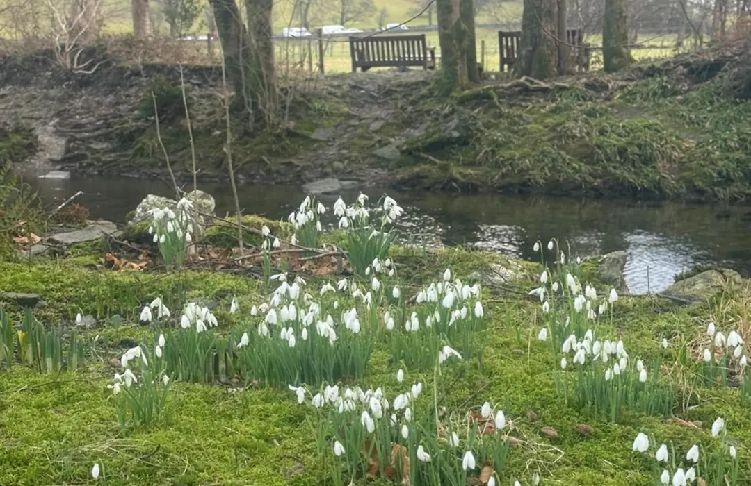 The Grasmere Hotel-1