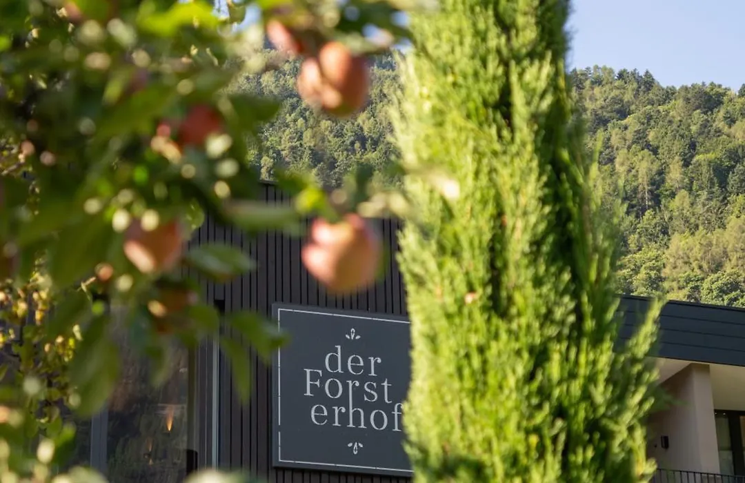 Garni-Hotel Der Forsterhof-1