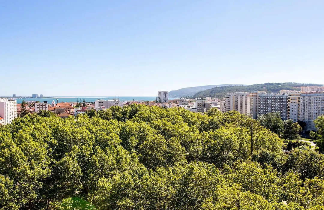 Melia Setubal-1