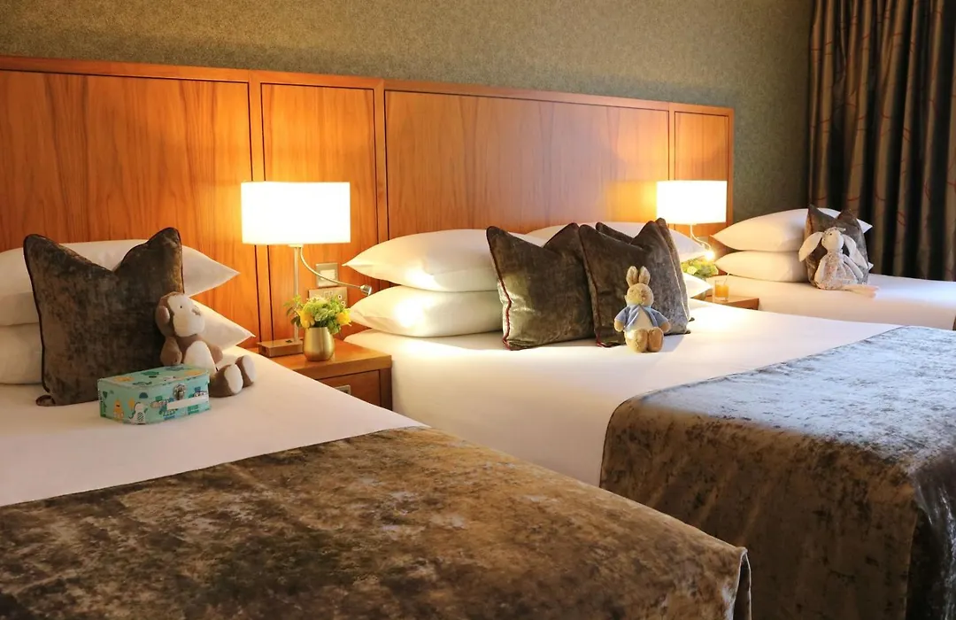 The Rose Hotel-1