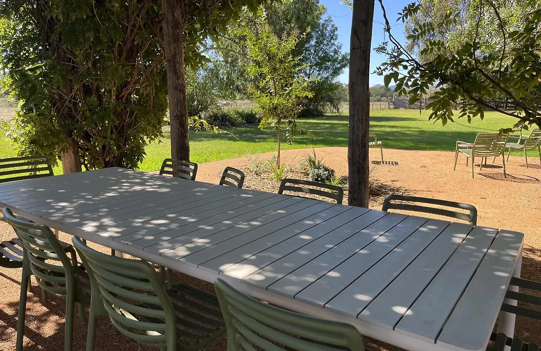 The Cudgee At Mudgee-1