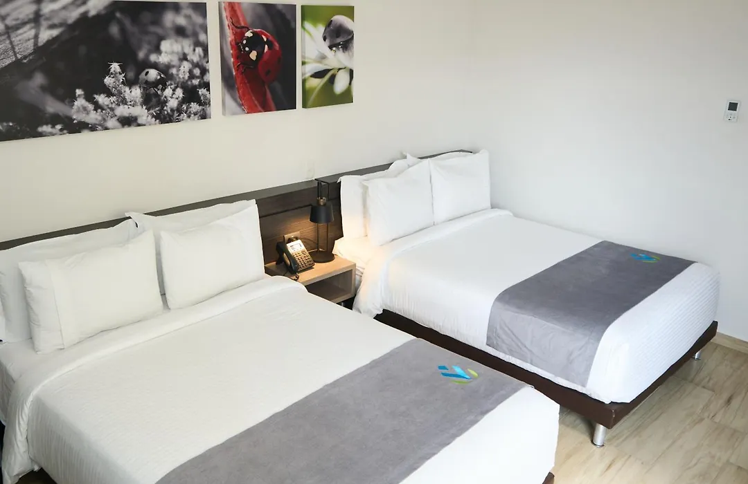 Hotel Vivre-1