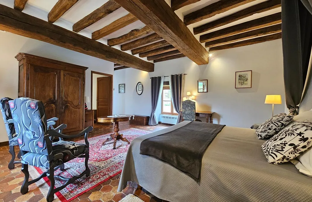 Château de Ribourdin-1