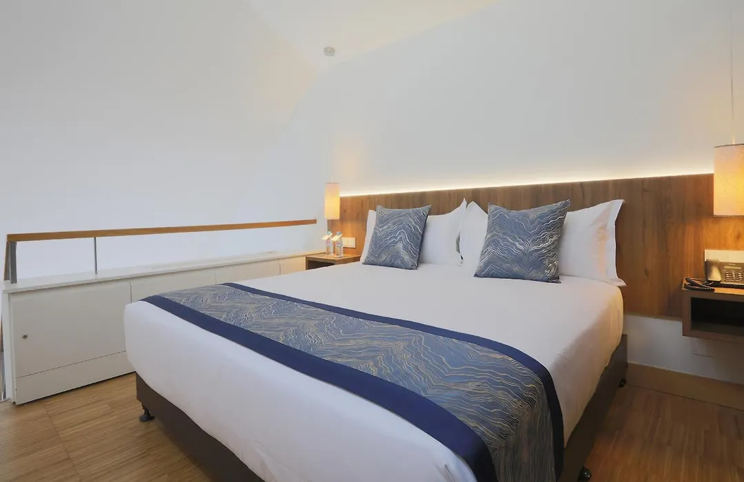 Hotel Villa Odon-1