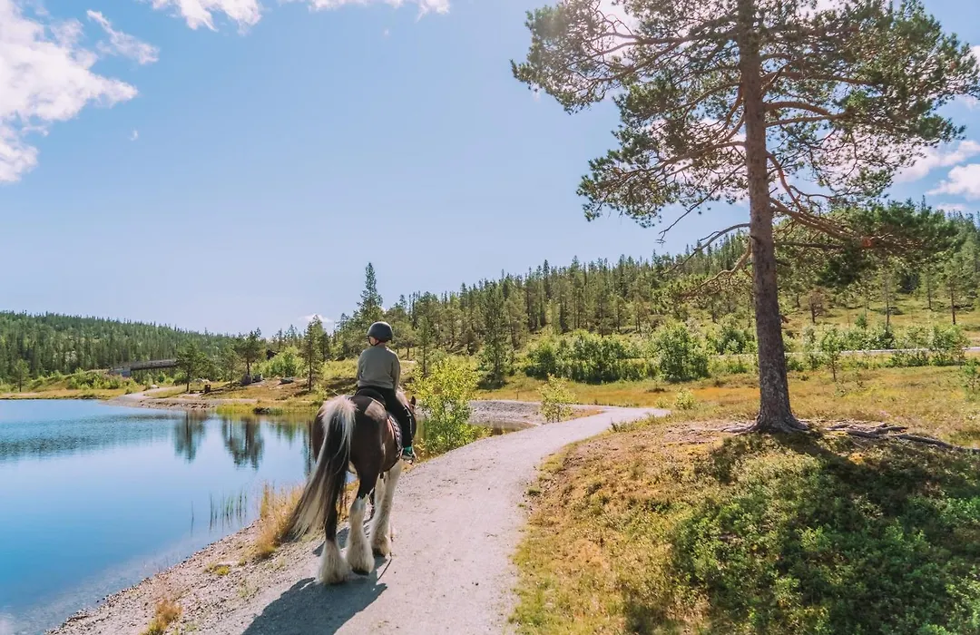 Norefjell Ski & Spa-1