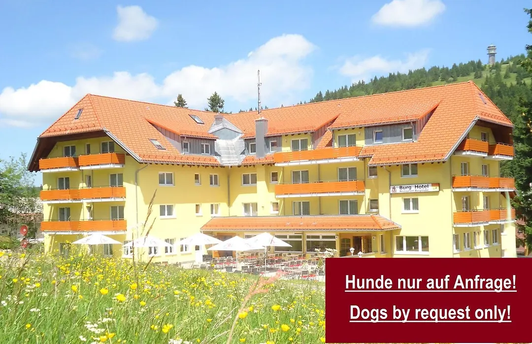 Burg Hotel Feldberg-1