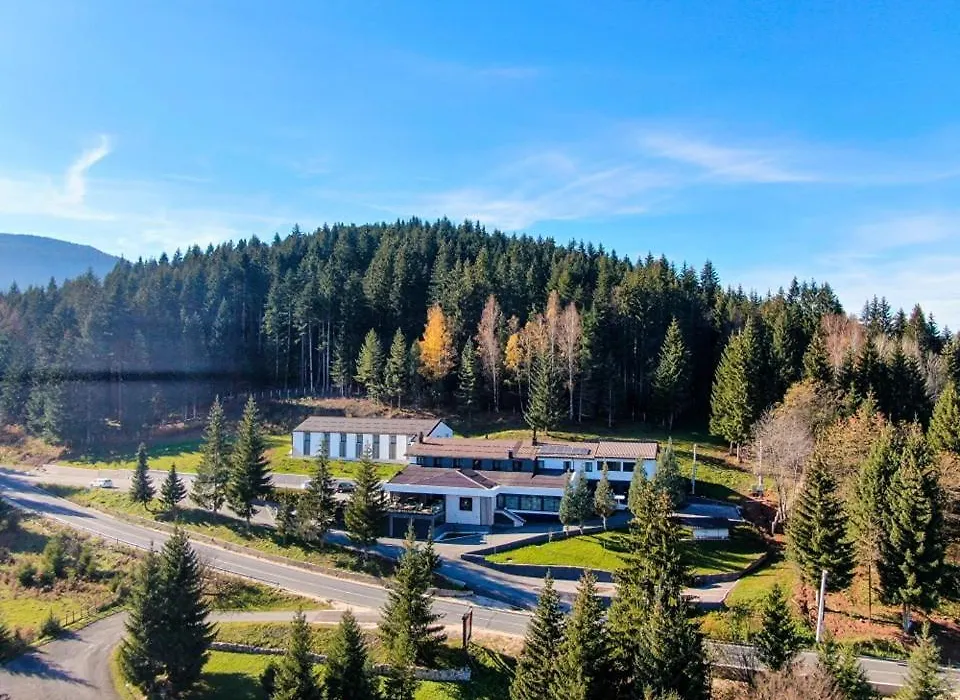 Hotel Forest-1