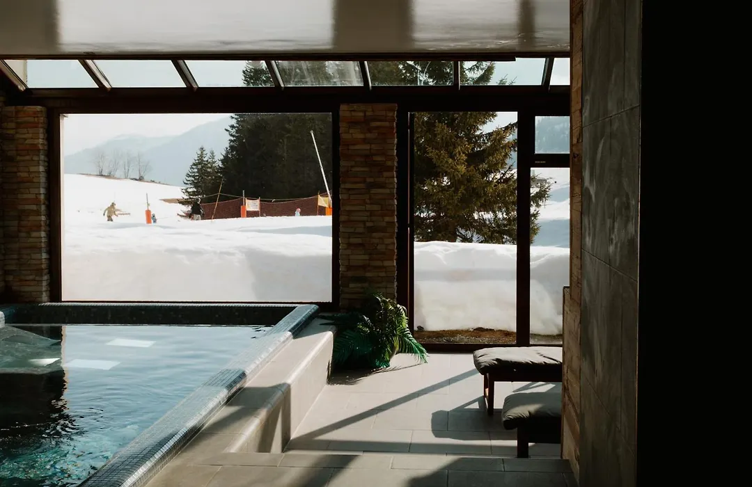 Mountain Lodge, Les Crosets-1