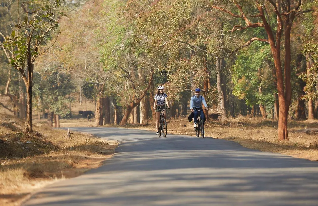 Sterling Wayanad-1