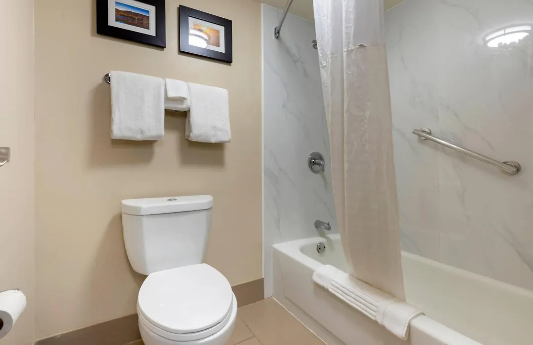 Comfort Inn Binghamton I-81-1