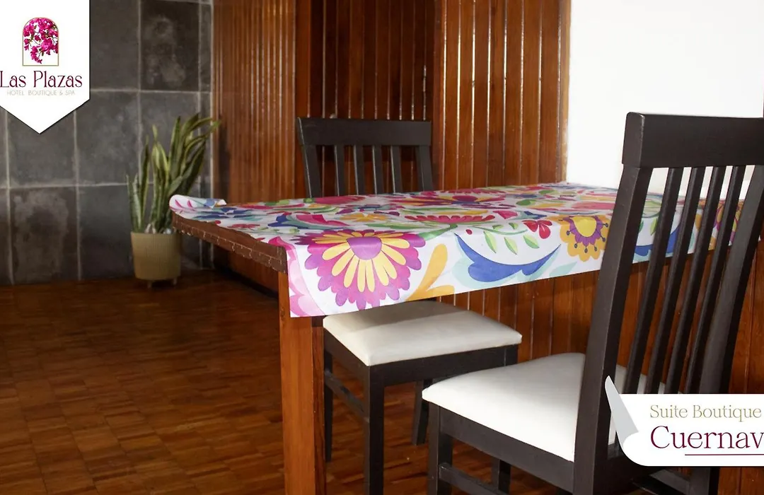 Suites Las Plazas-1
