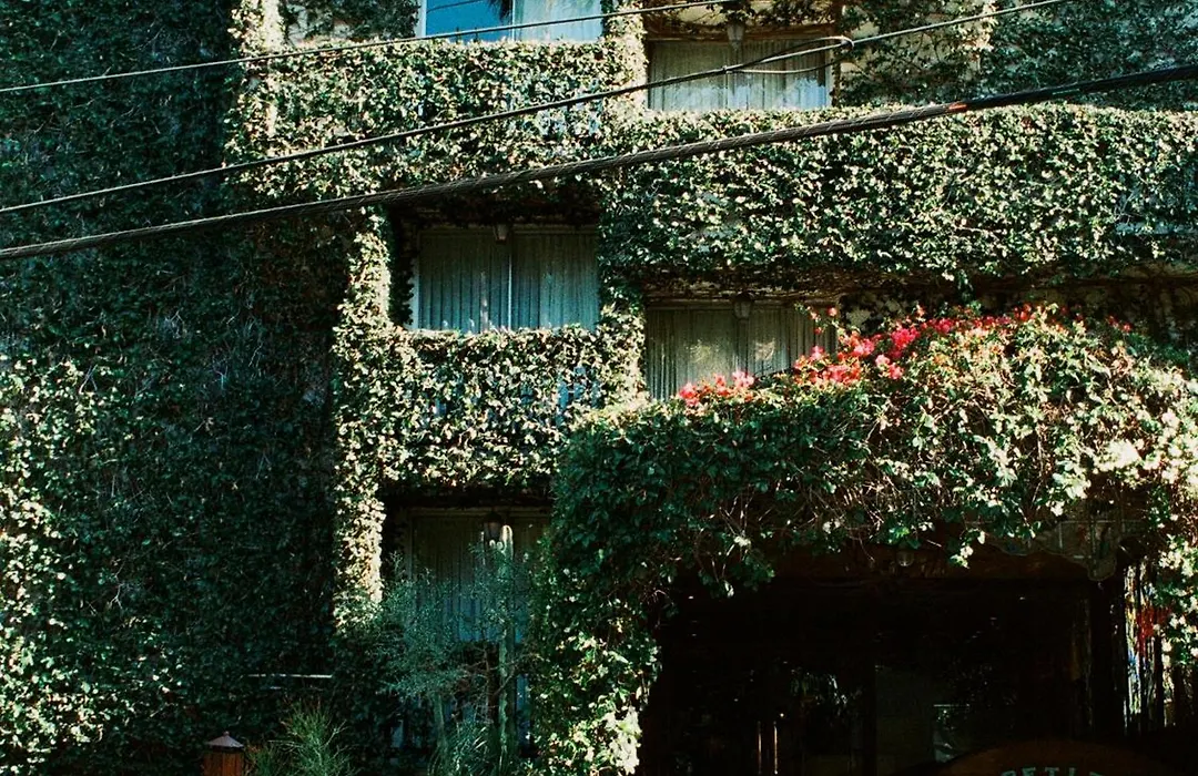 Petit Ermitage-1