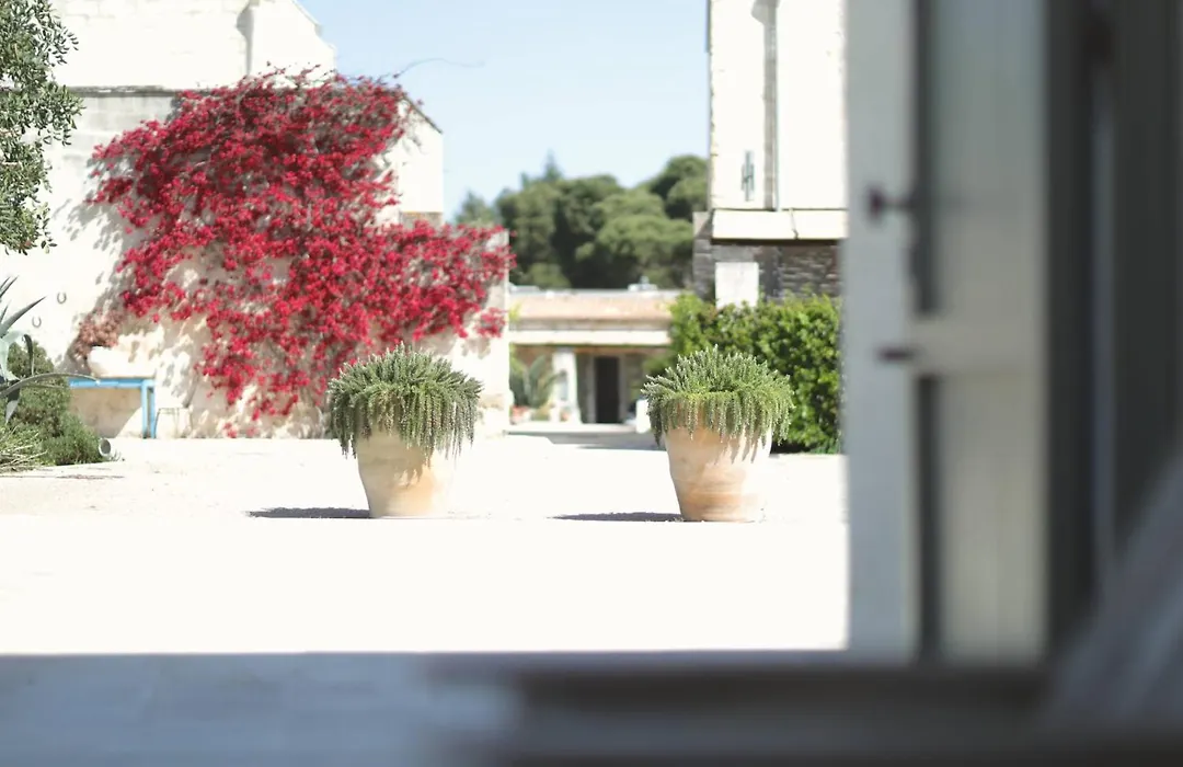 Masseria Borgo Sentinella-1