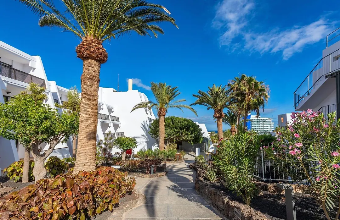 Sol By Melia Fuerteventura Jandia - All Suites-1