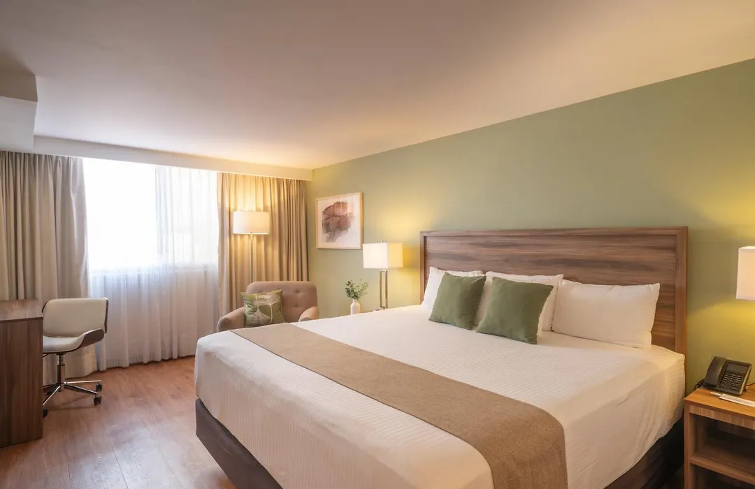 Stanza Hotel-1