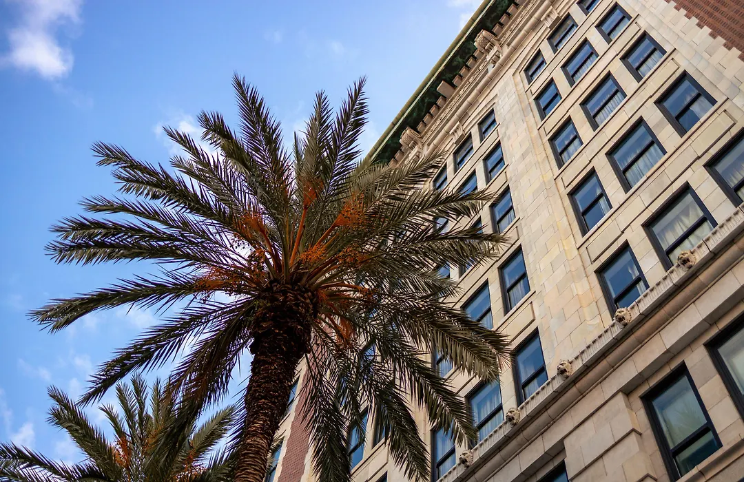 The Saint Hotel, New Orleans, French Quarter, Autograph Collection-1