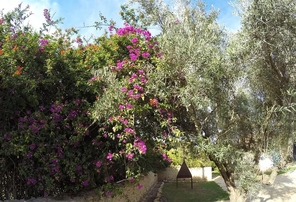 Ryad de Vignes Le Val d'Argan-1