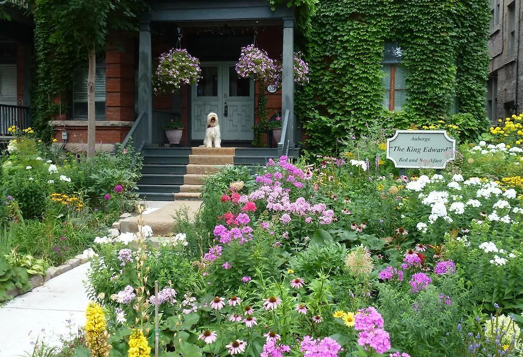 Auberge King Edward Bed And Breakfast-1