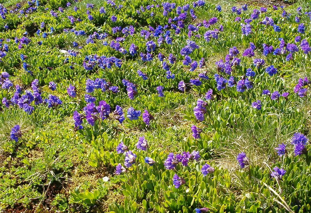 Haus Erna-1