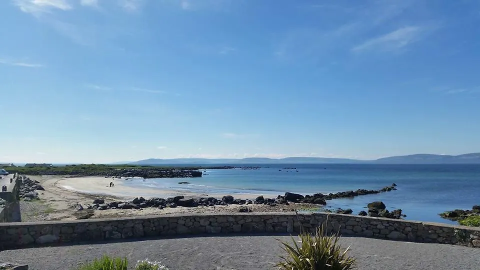 Padraicins-1