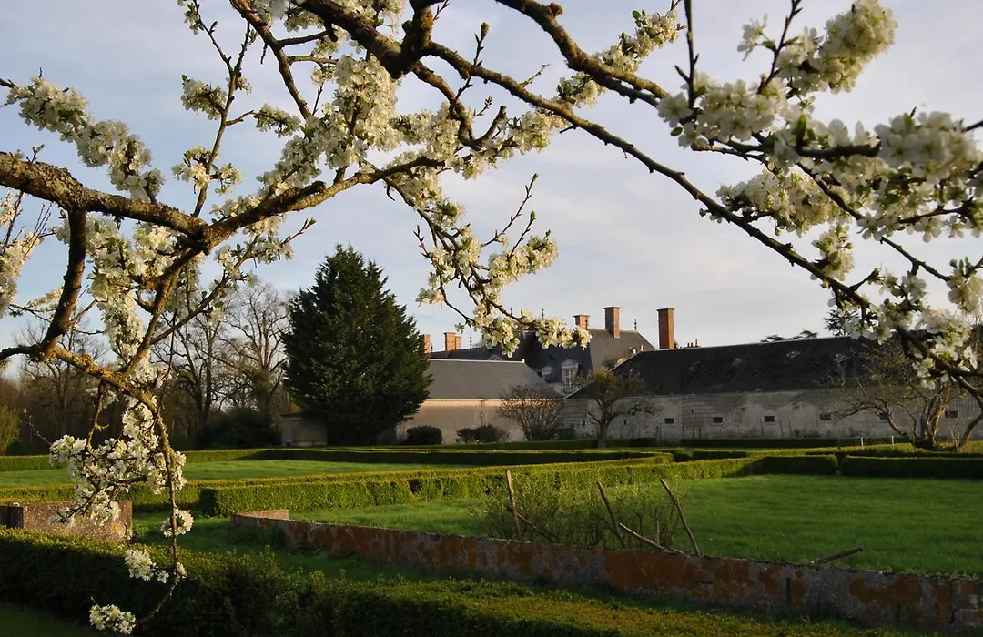 Chateau La Touanne Loire valley-1