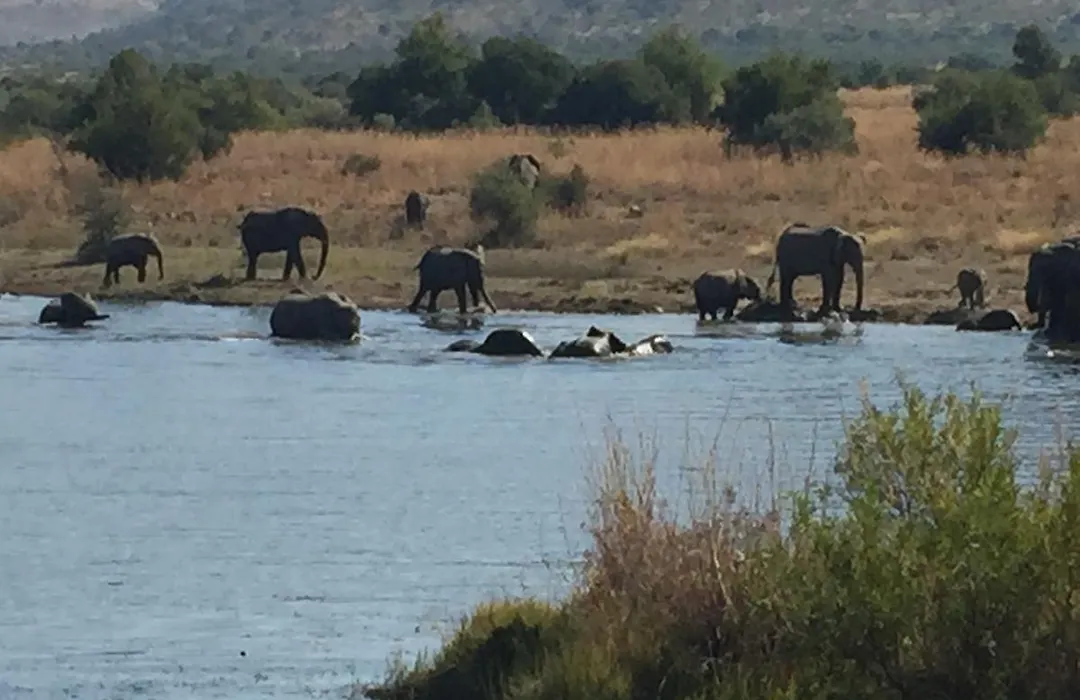 Kwa Maritane Lodge-1
