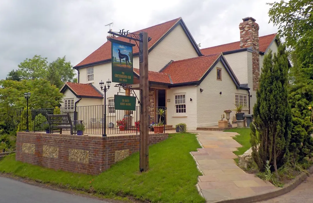 Greyhound Hever-1