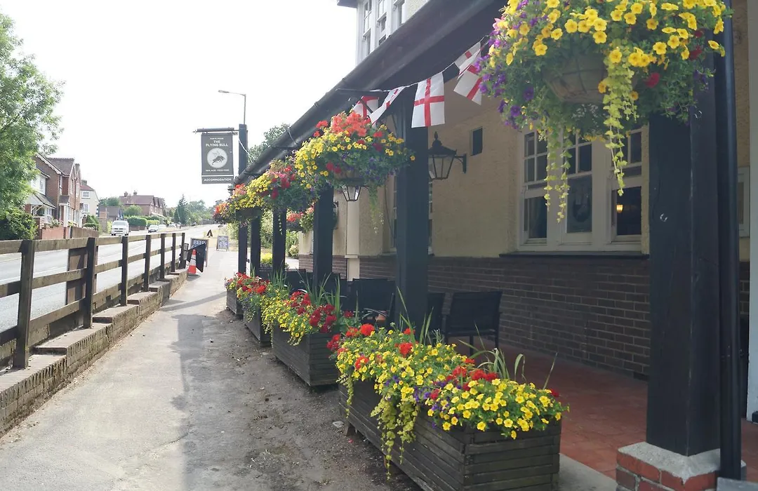 The Flying Bull Inn-1
