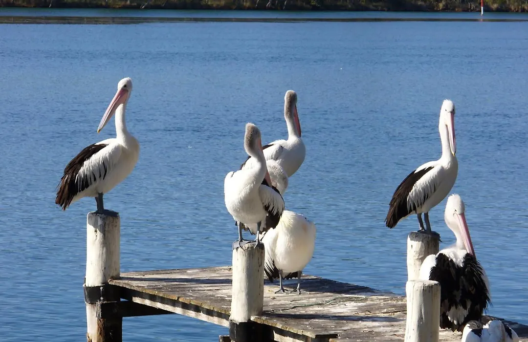 Huskisson Beach Motel-1