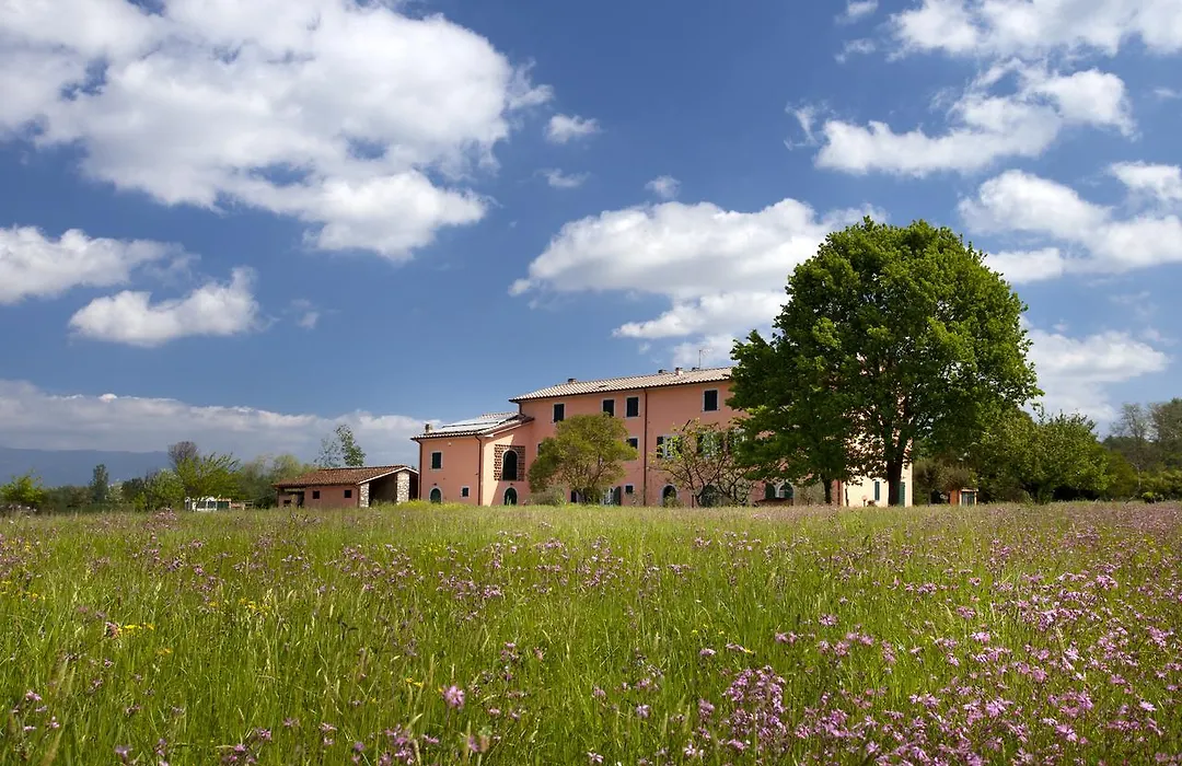 Tenuta San Giovanni Lucca-1