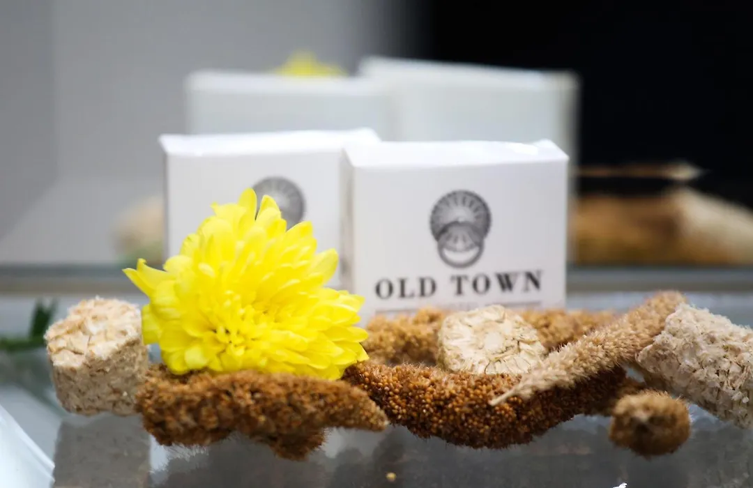 Old Town Hotel-1