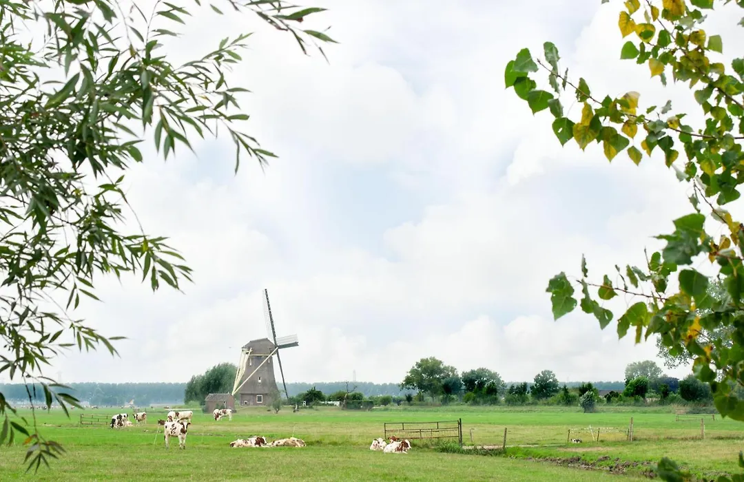 De Willigen Logies-1