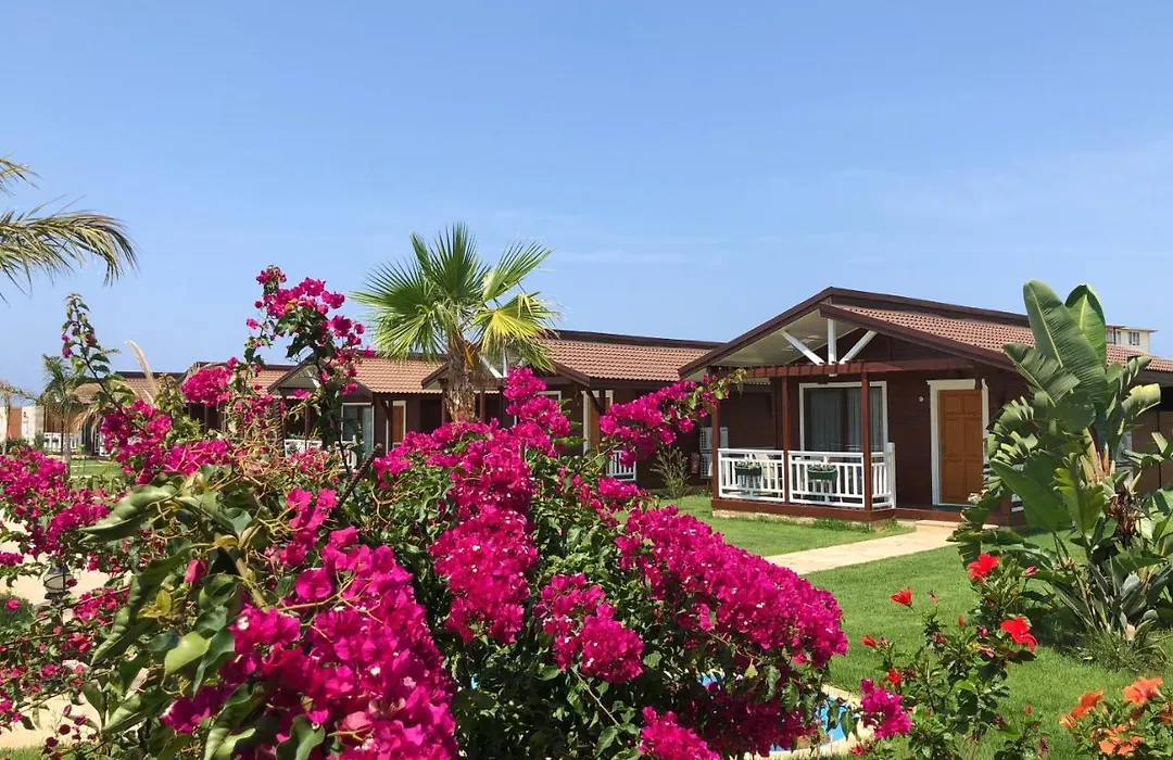 Sedir Park - Beach Bungalow-1