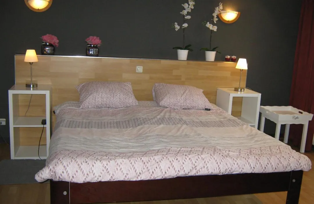 B&B De Tobbedanser Harlingen-1
