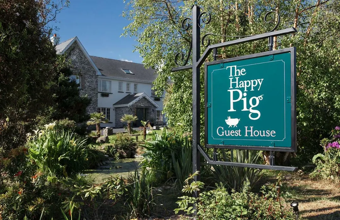 The Happy Pig-1