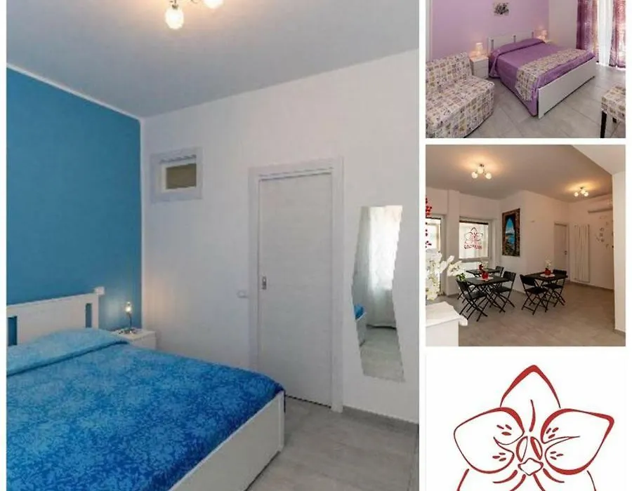 B&B Orchidea-1