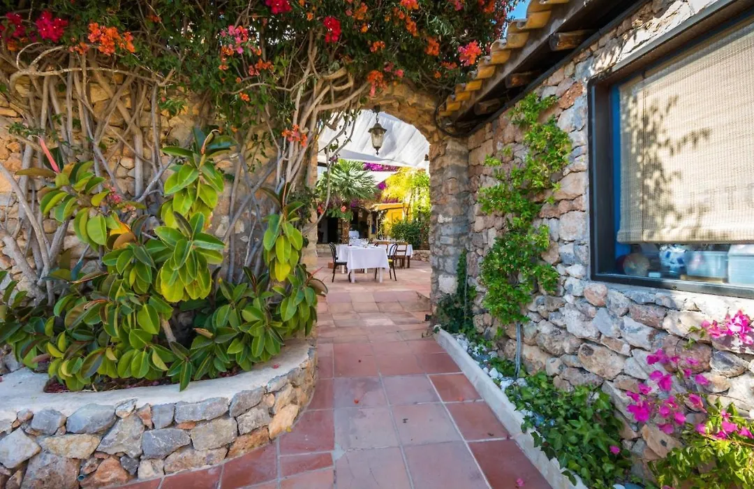 Pikes Ibiza (Adults Only)-1