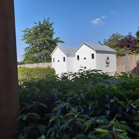 Casa-Cosi, Tourist & Business Suites & Flats With Reserved Parking And Private Terraces In Shared Garden With Seasonal Pool Included, Private Sauna Available-3