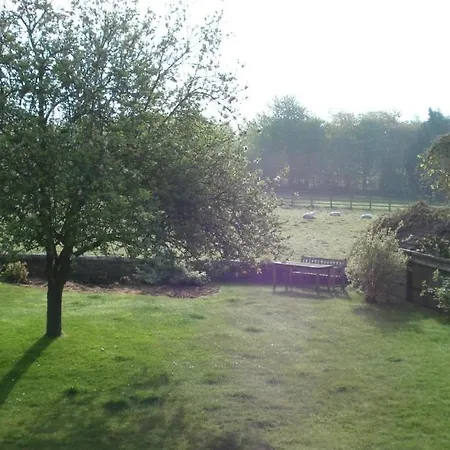 Well Cottage B&B-2